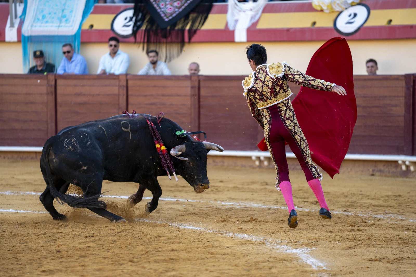 Las imágenes de los toros en Vera