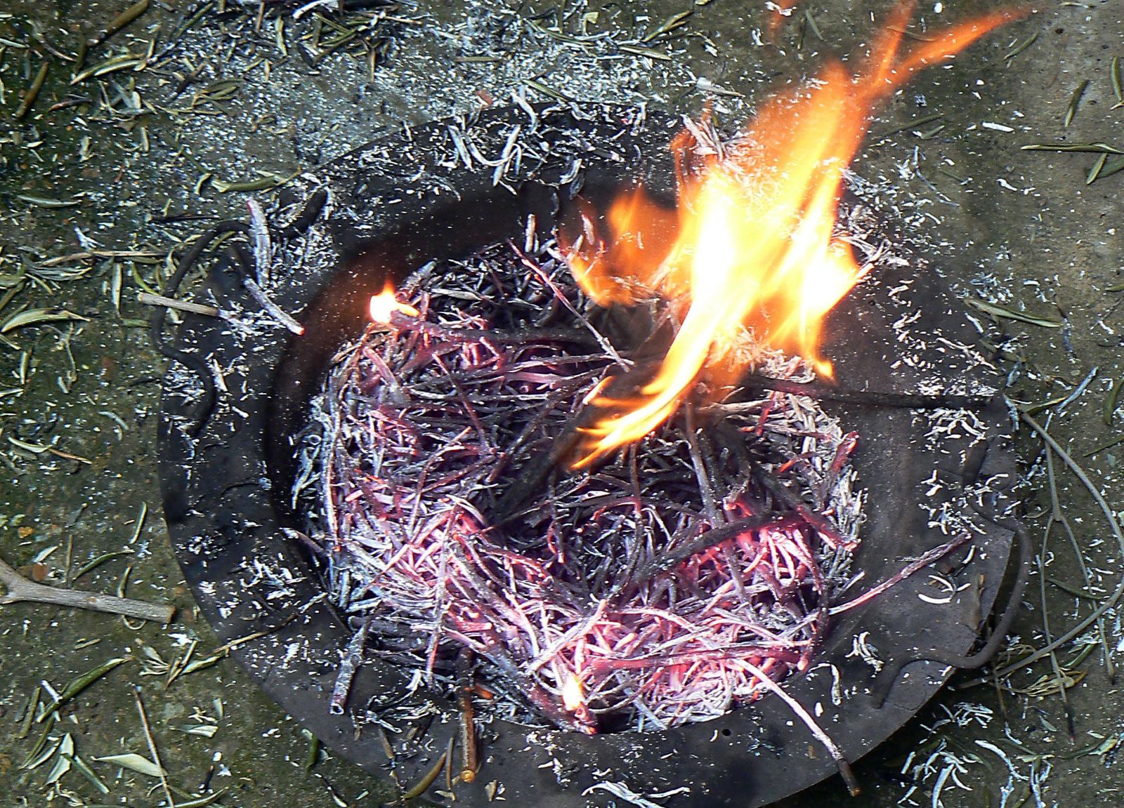 La quema de las ramas de olivo con la que se logran las cenizas.