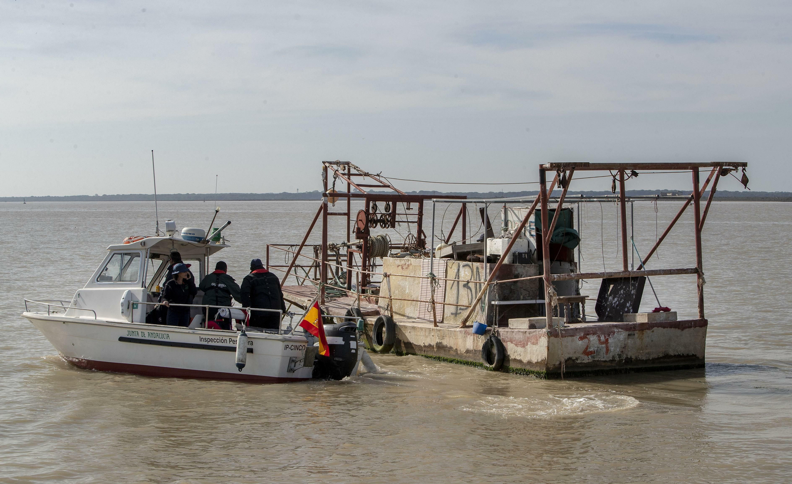 Operación Ave  fenix contra la pesca  de la angula