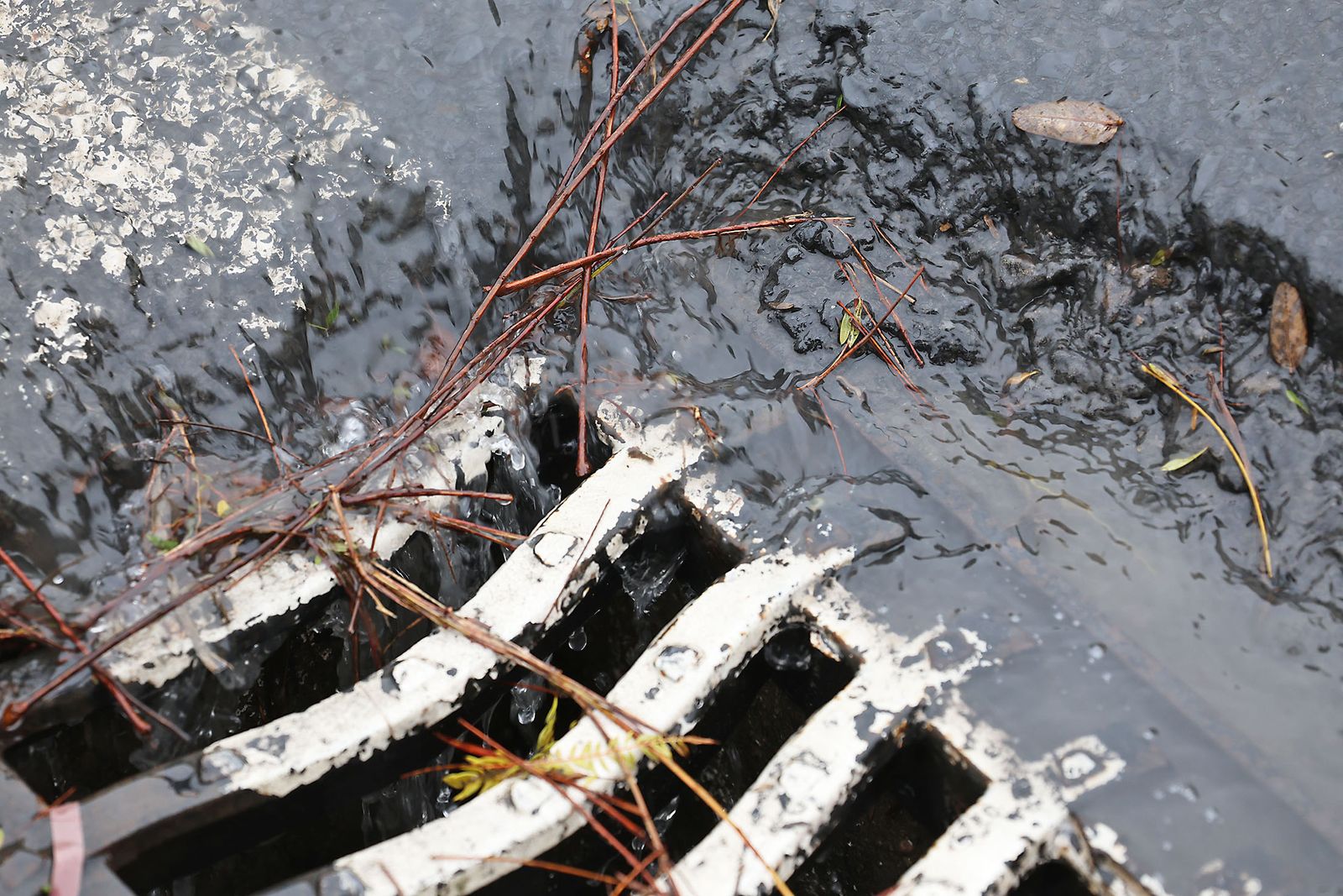 Las imágenes más destacadas del sábado 25 de enero en Huelva