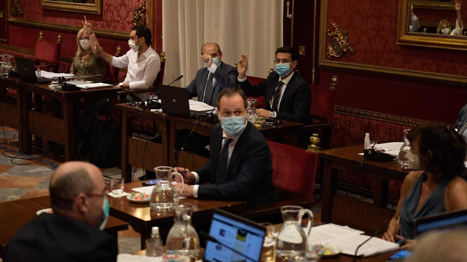 El PSOE ha votado a favor