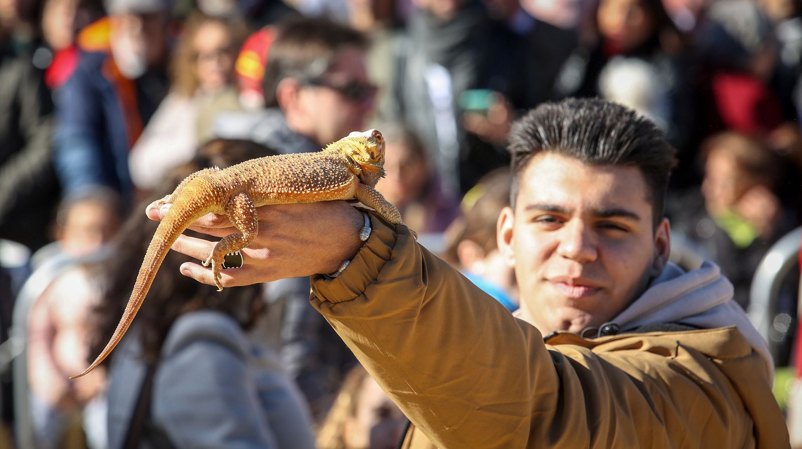 Búscate en San Antón de Jerez