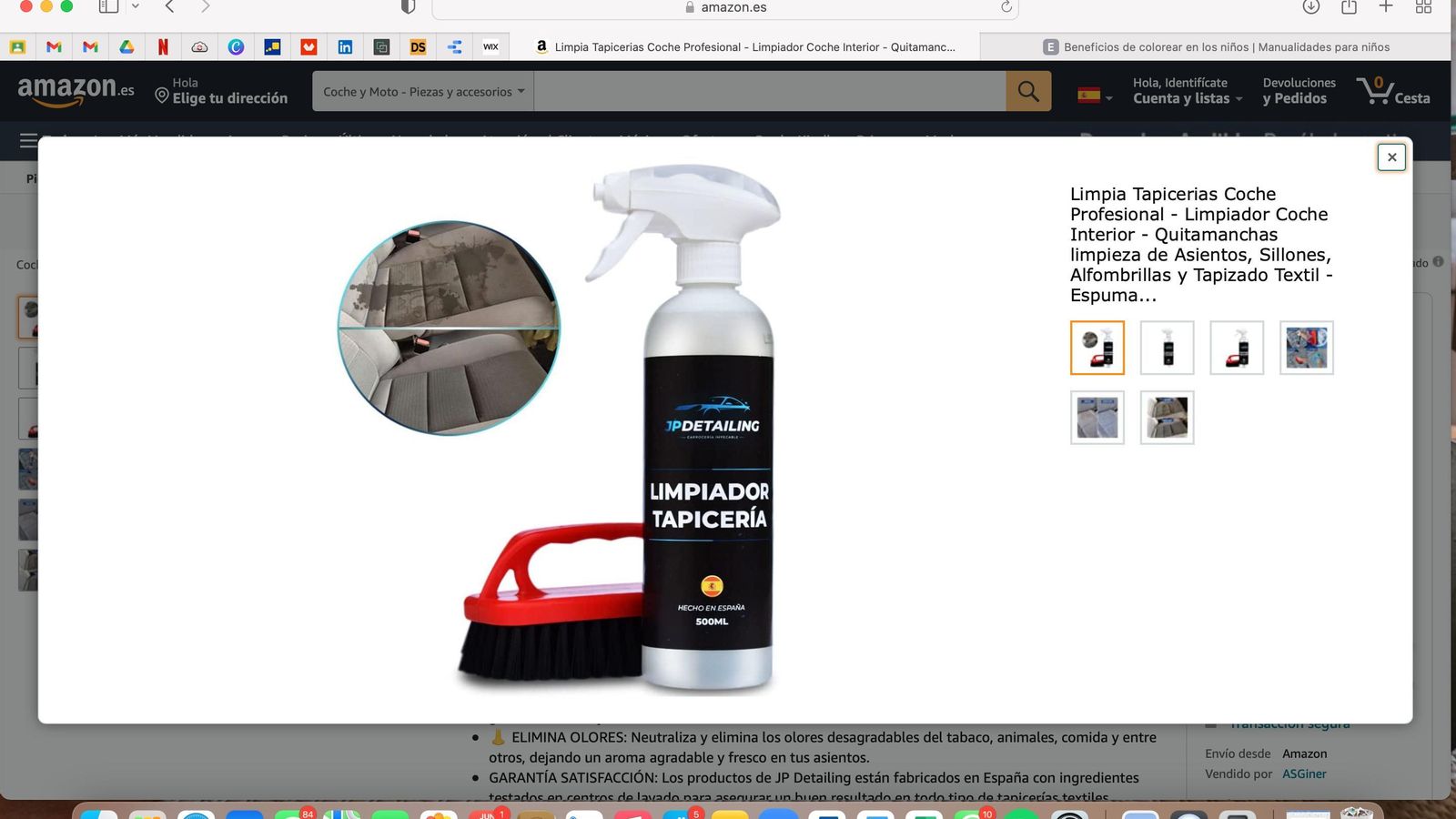 Limpia Tapicerias Coche Profesional
