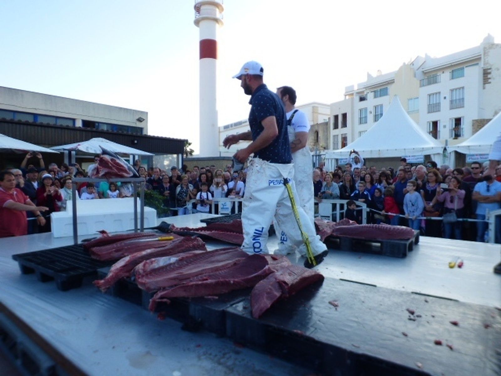 Ronqueo de Rota en 2018.