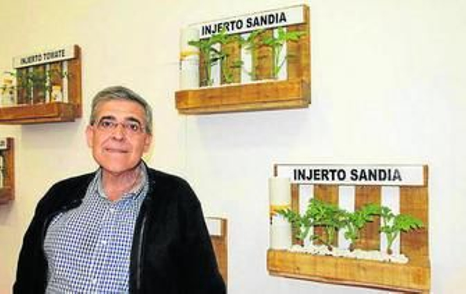 Alberto Cañaberate, gerente de Almeriplant.