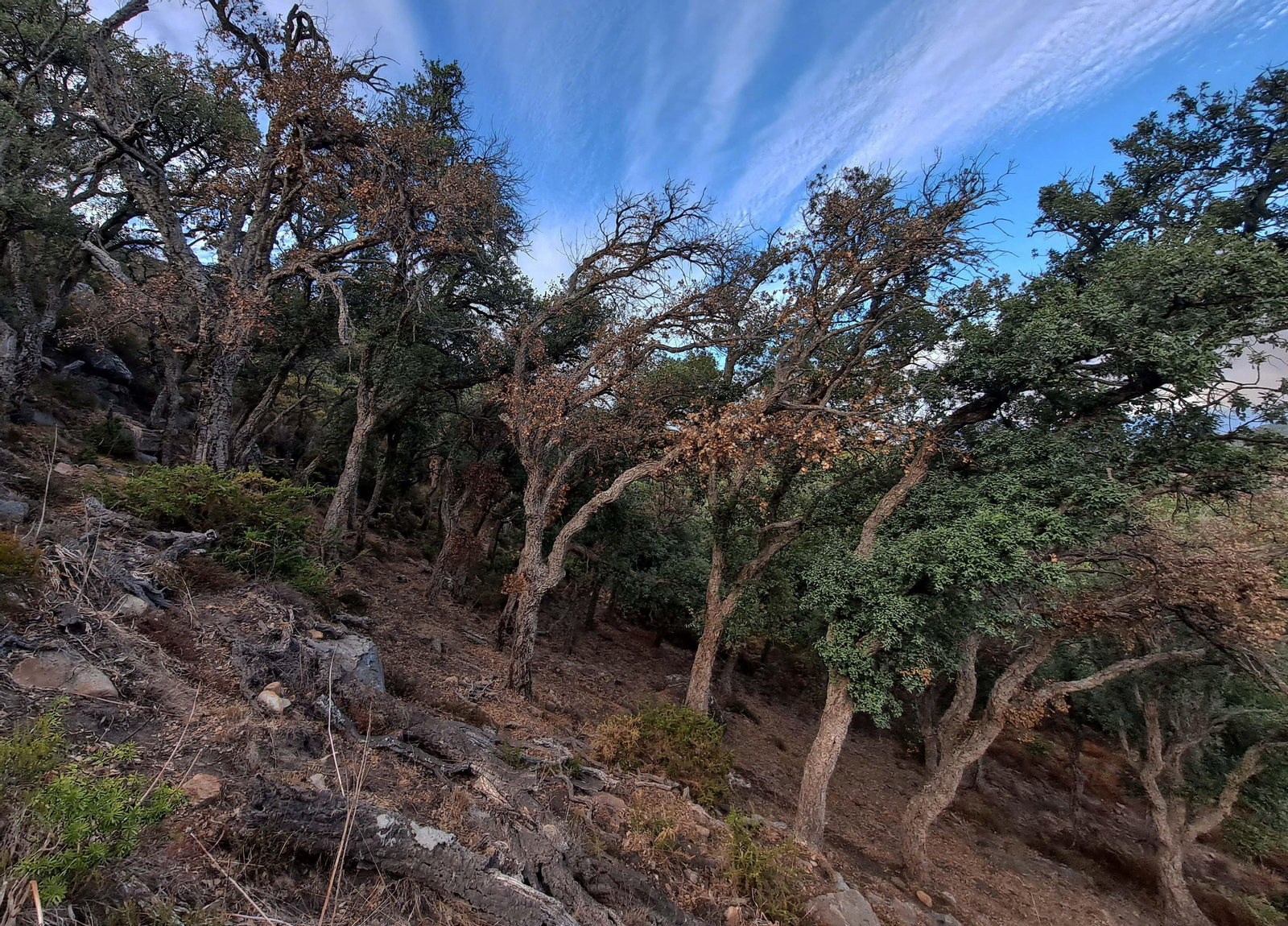 Fotos del sendero del Chorro de Pelayo en Algeciras