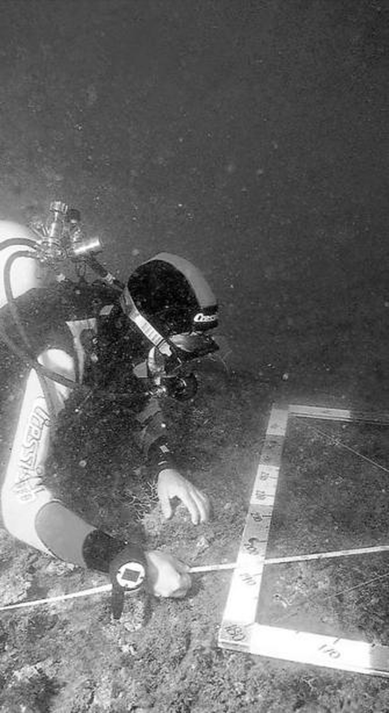 La Consejería estrecha el cerco de vigilancia del patrimonio arqueológico subacuático.