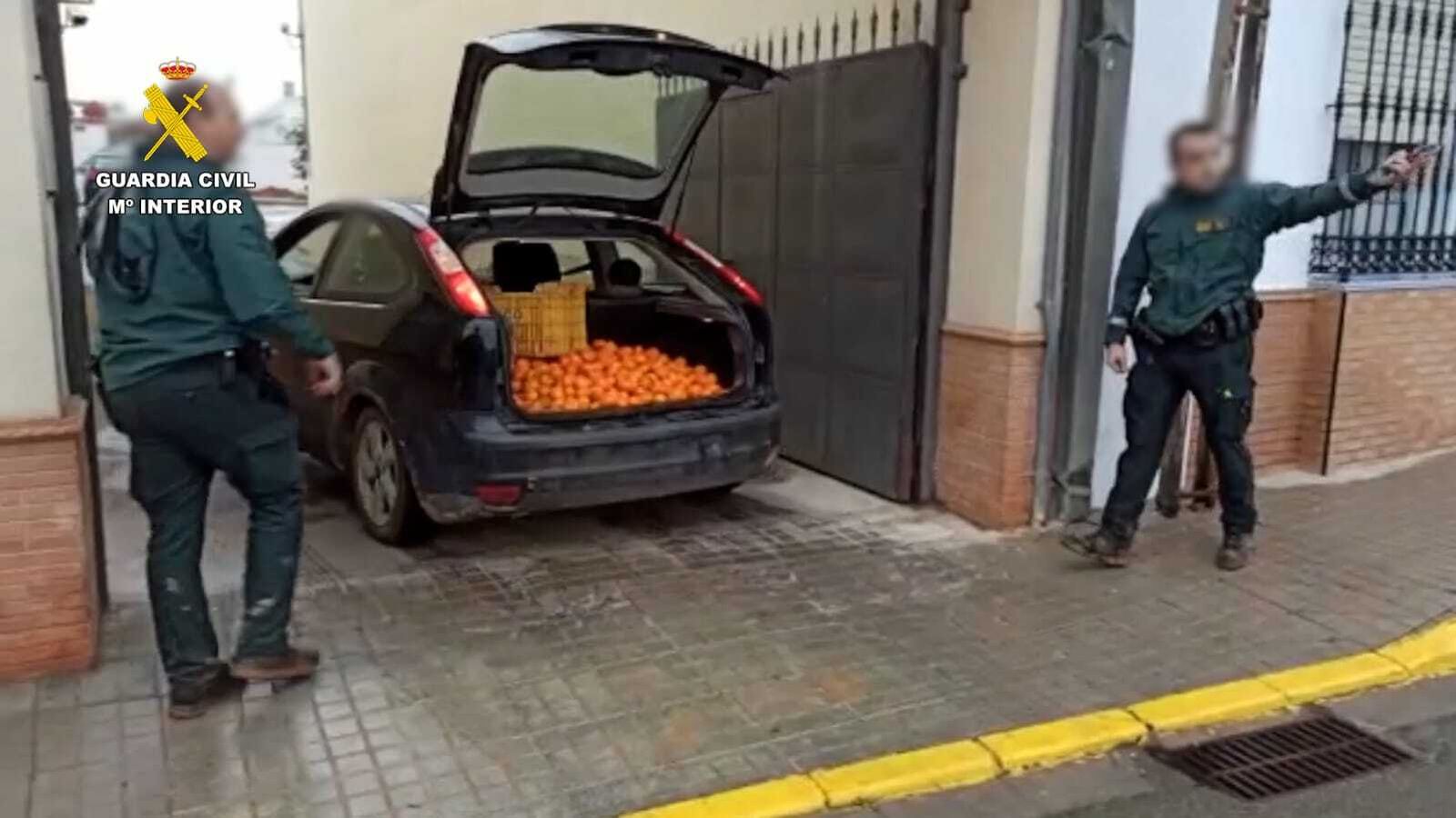 Equipo ROCA de la Guardia Civil en la intercepción de naranjas y mandarinas robadas/M.G.