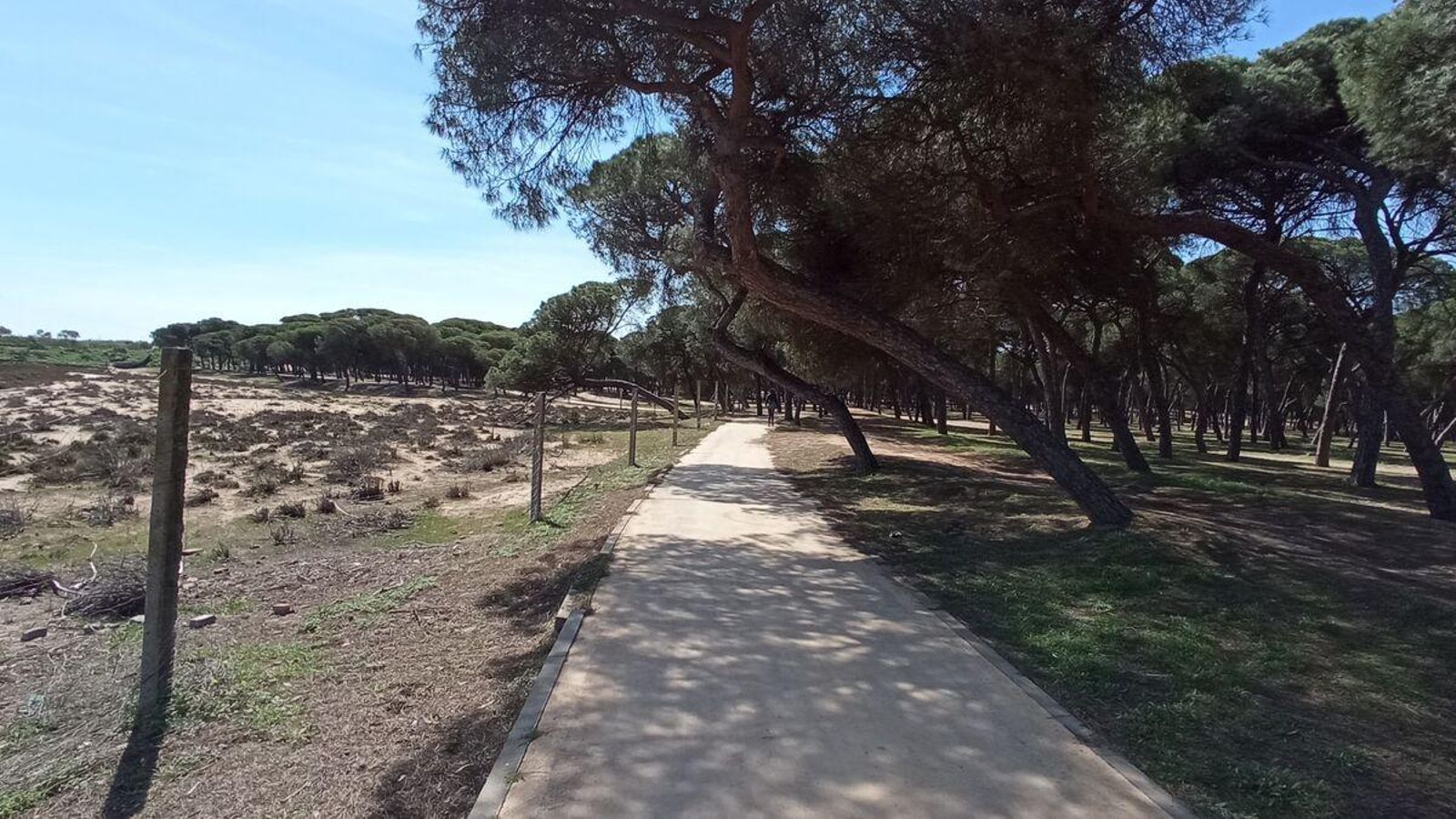 Hacia el final del camino