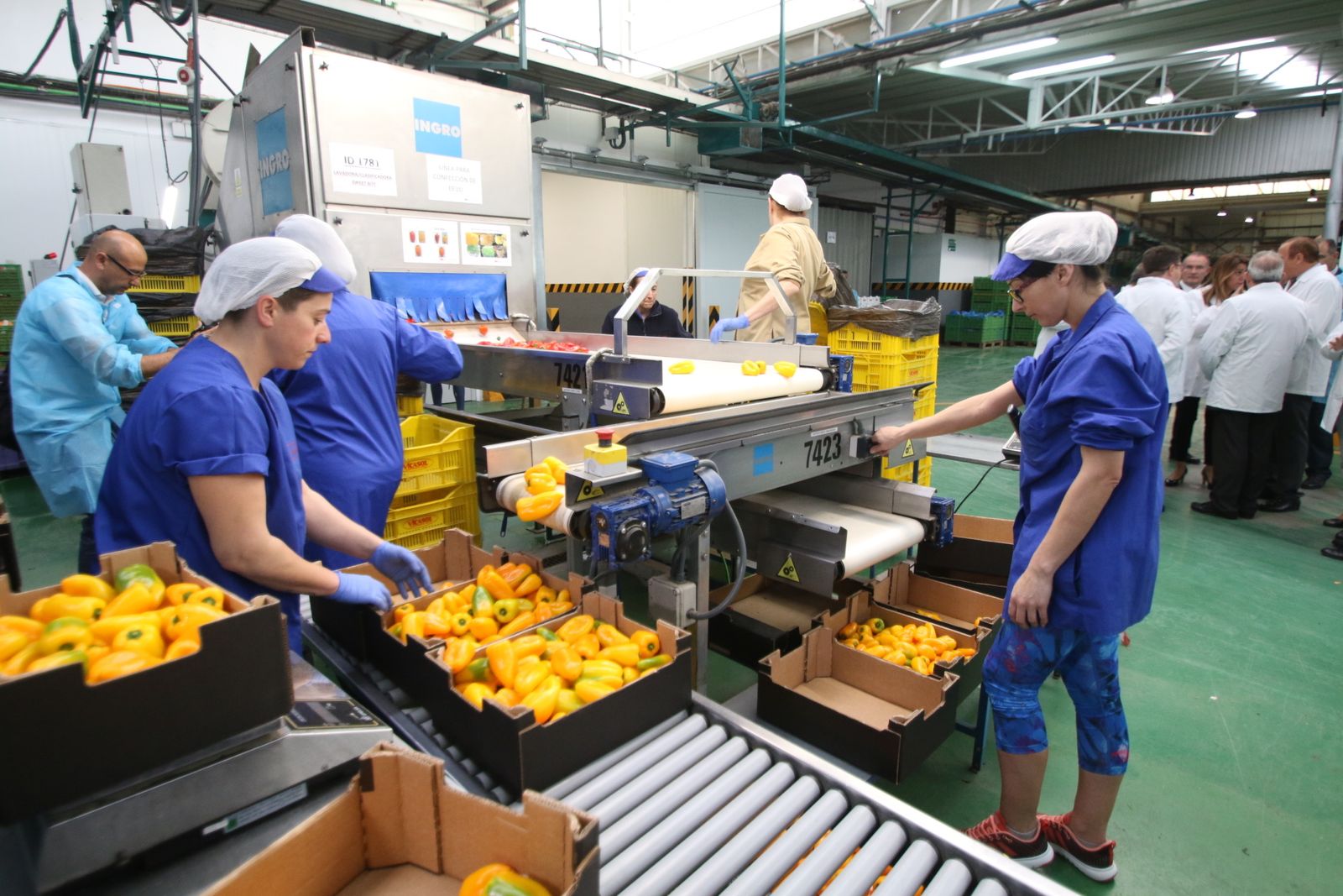 Las imágenes de la visita de Susana Díaz a Almería