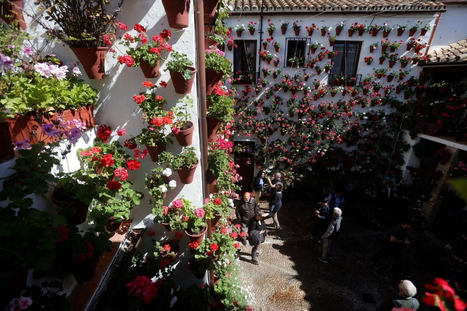 Las mejores imágenes del primer día de Patios en Córdoba