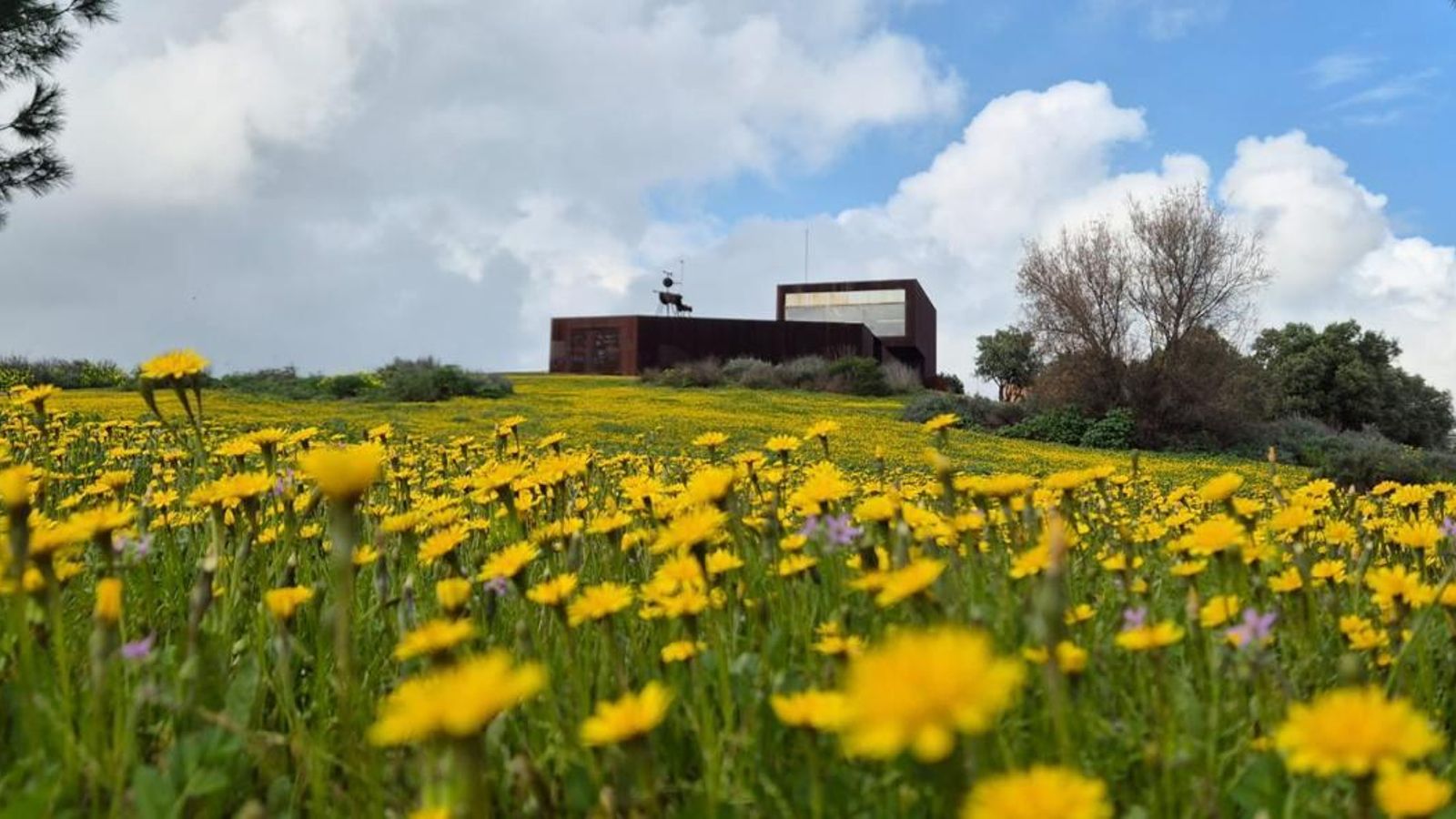 Cabezo de la Almagra.