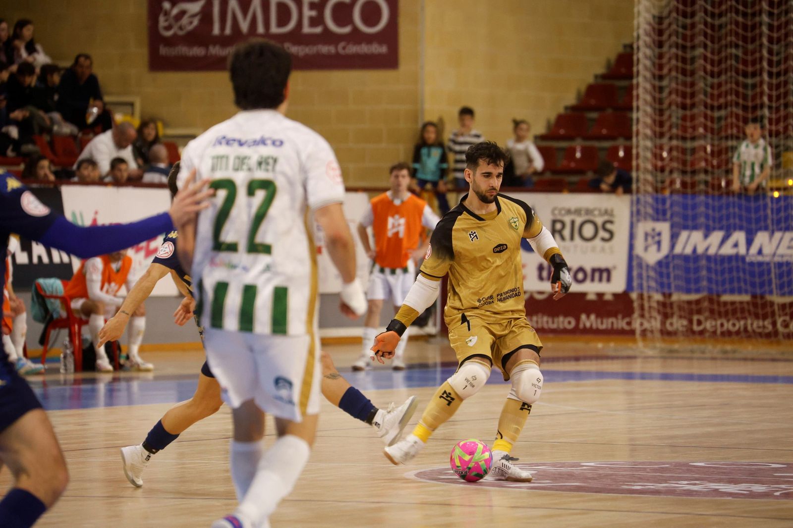Las mejores fotos del ambiente en Vista Alegre para el Córdoba Futsal - O Parrulo Ferrol