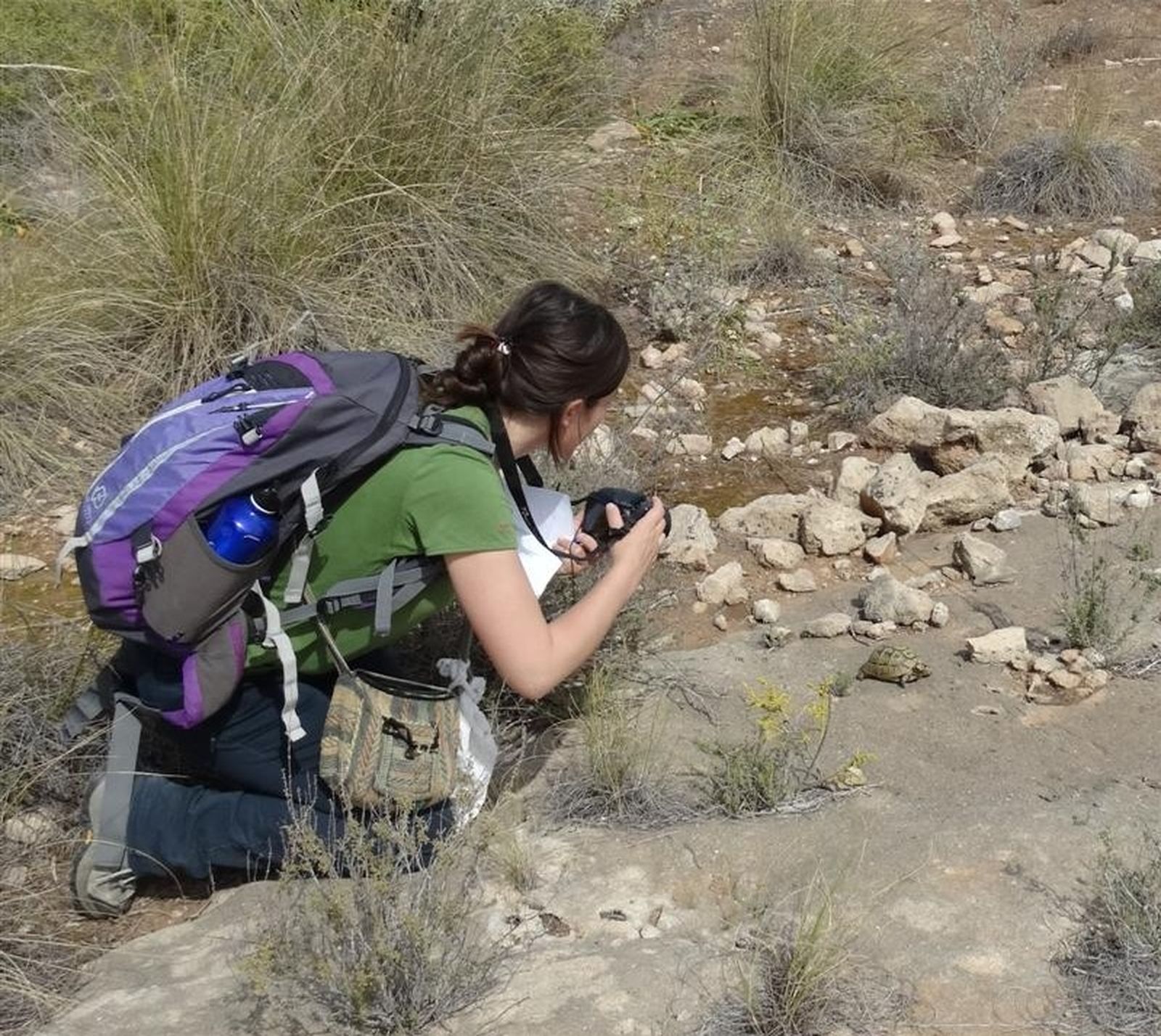 Imagen de archivo de actividad de Serbal.