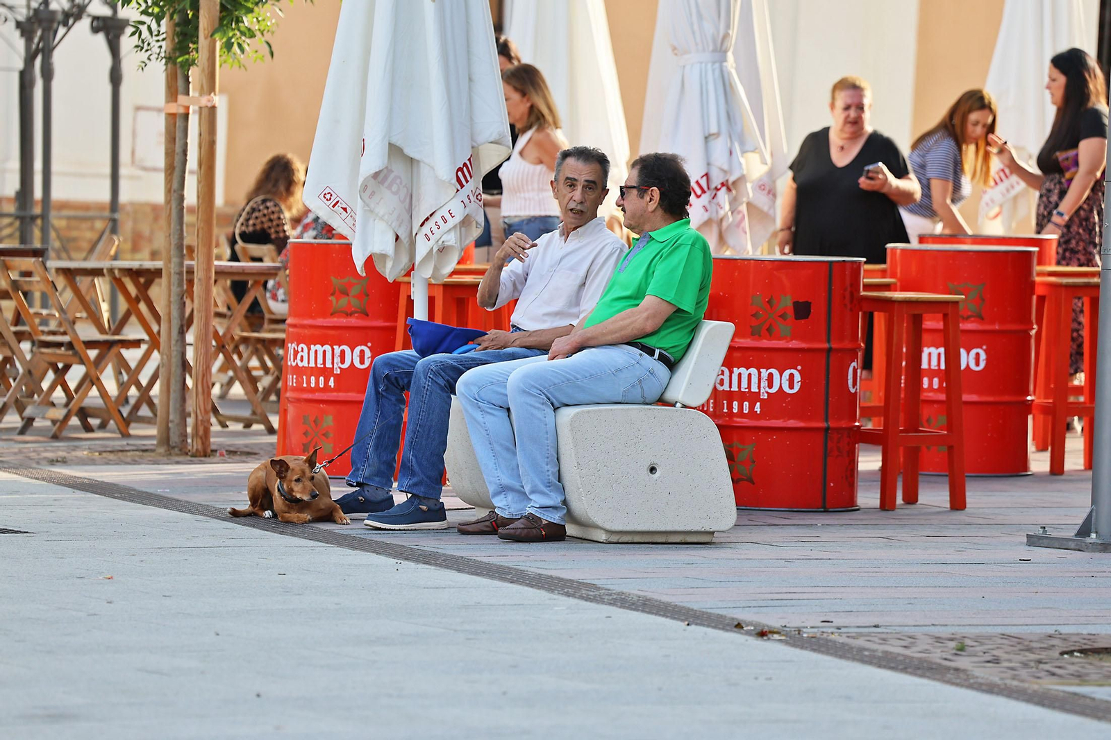 La Plaza de La Merced, un remanso de paz en las mañanas de verano