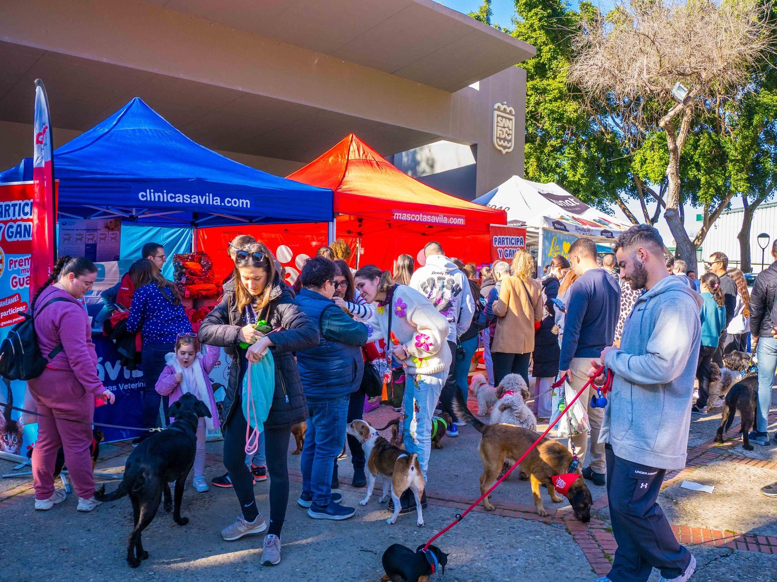 Las imágenes de San Antón 2025 en San Fernando