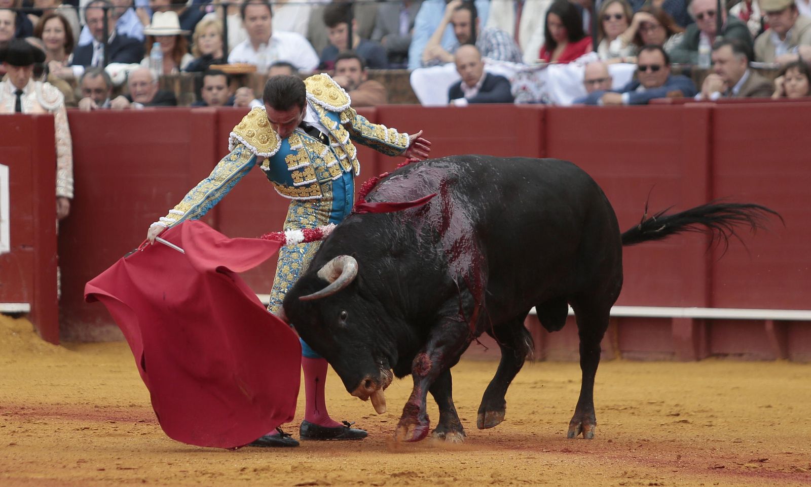 Las imágenes de la duodécima de abono de la Maestranza