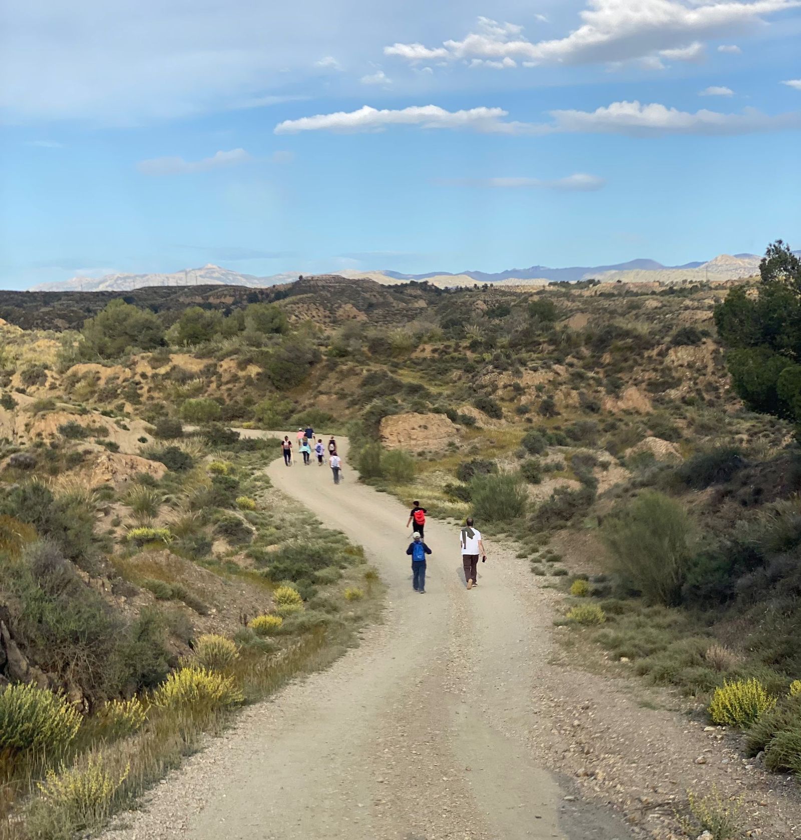 Así fue la Romería de San Torcuato de Guadix, las imágenes