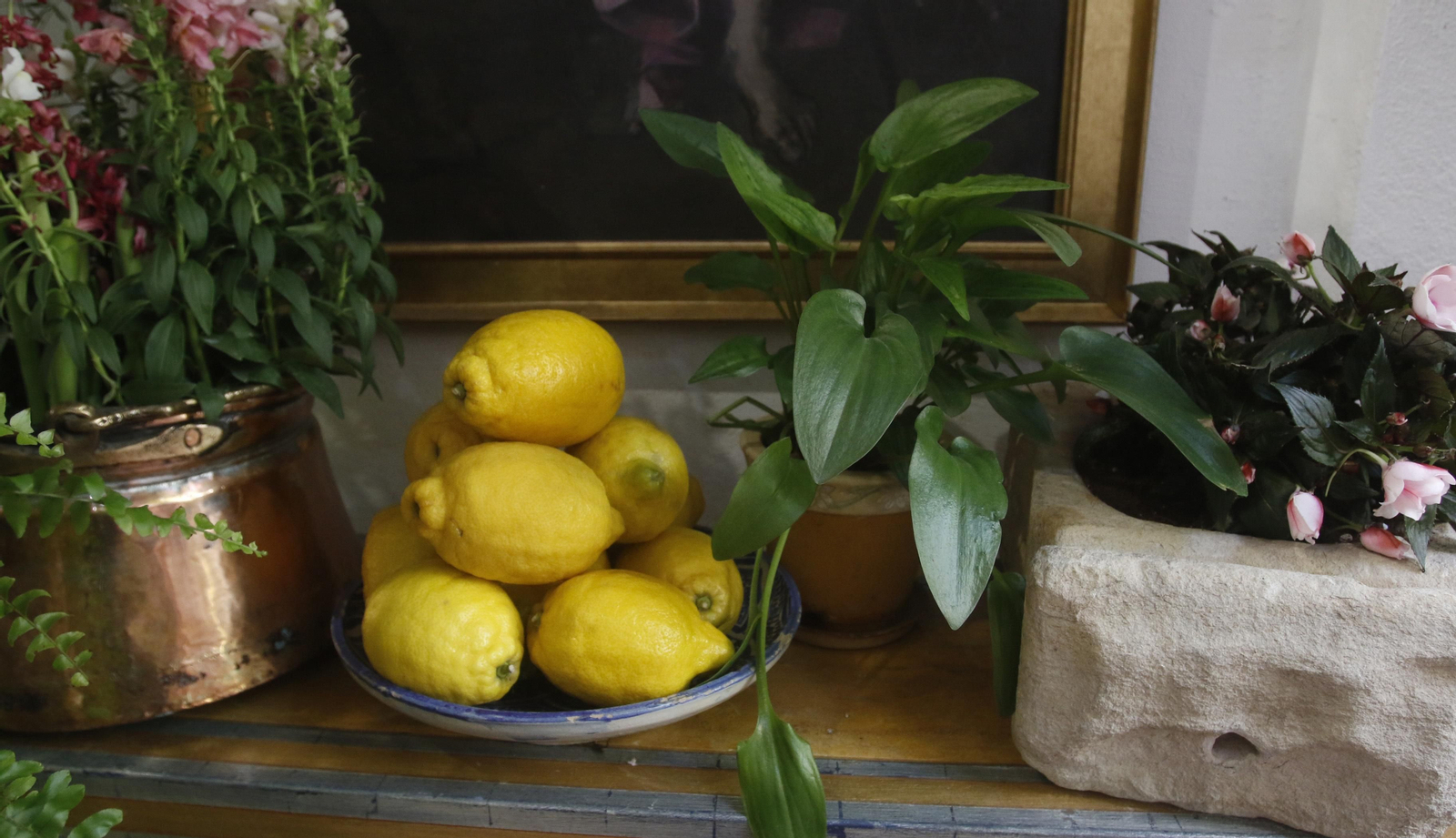 Ruta Alcázar Viejo de los Patios de Córdoba, en imágenes