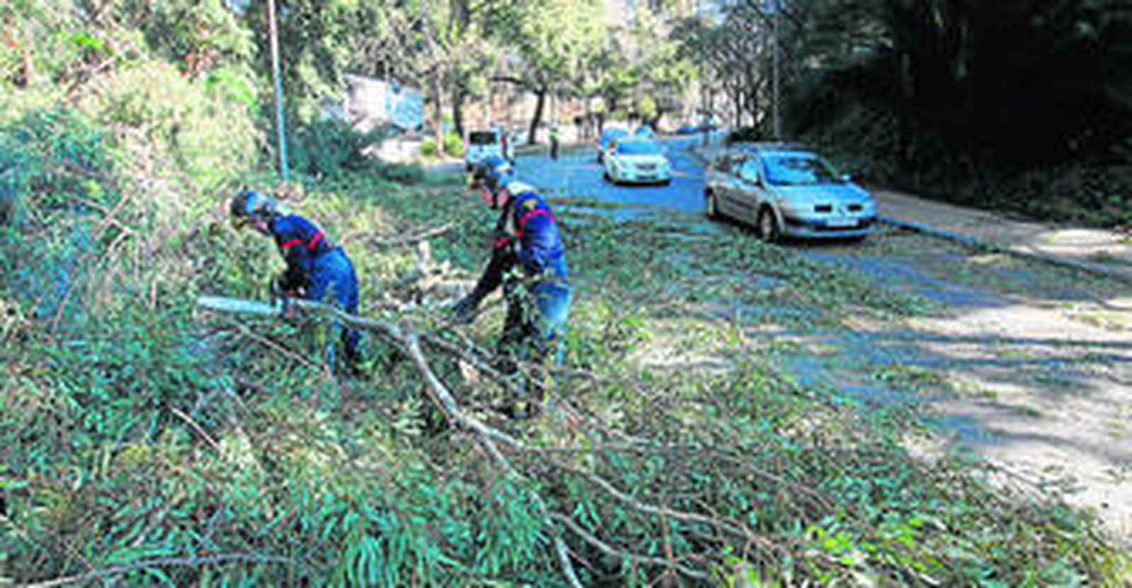 Los equipos del Ayuntamiento de Marbella retiran ramas de los árboles caídas en abundancia ayer por la mañana.