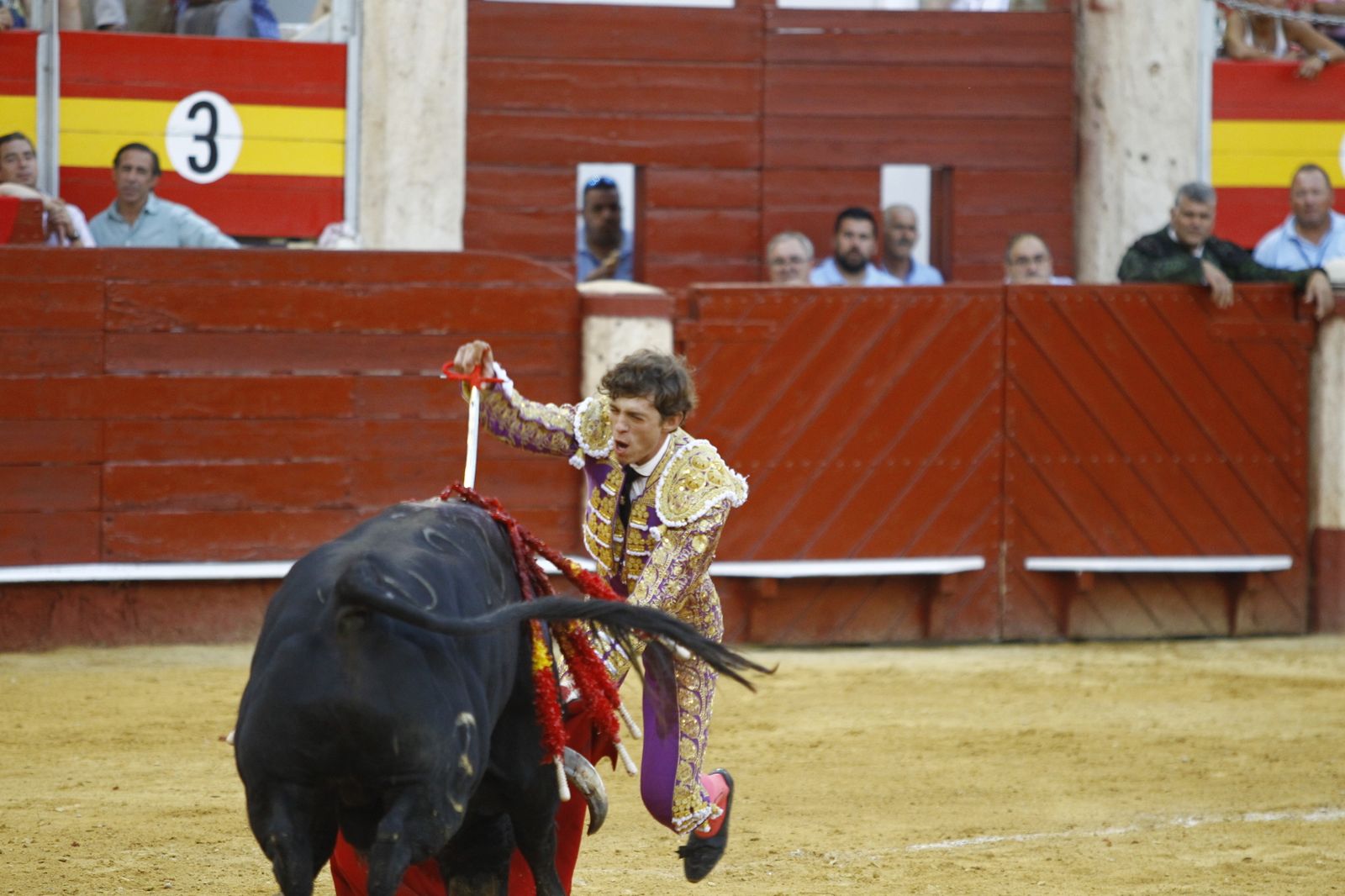 Fotogalería de la novillada de la Feria Taurina de Almería 2022