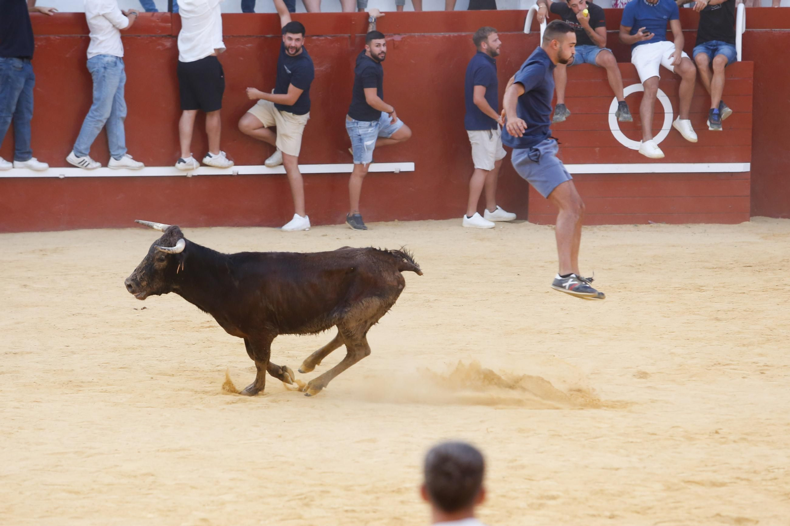 Fotos del Toro del Aguardiente en San Roque