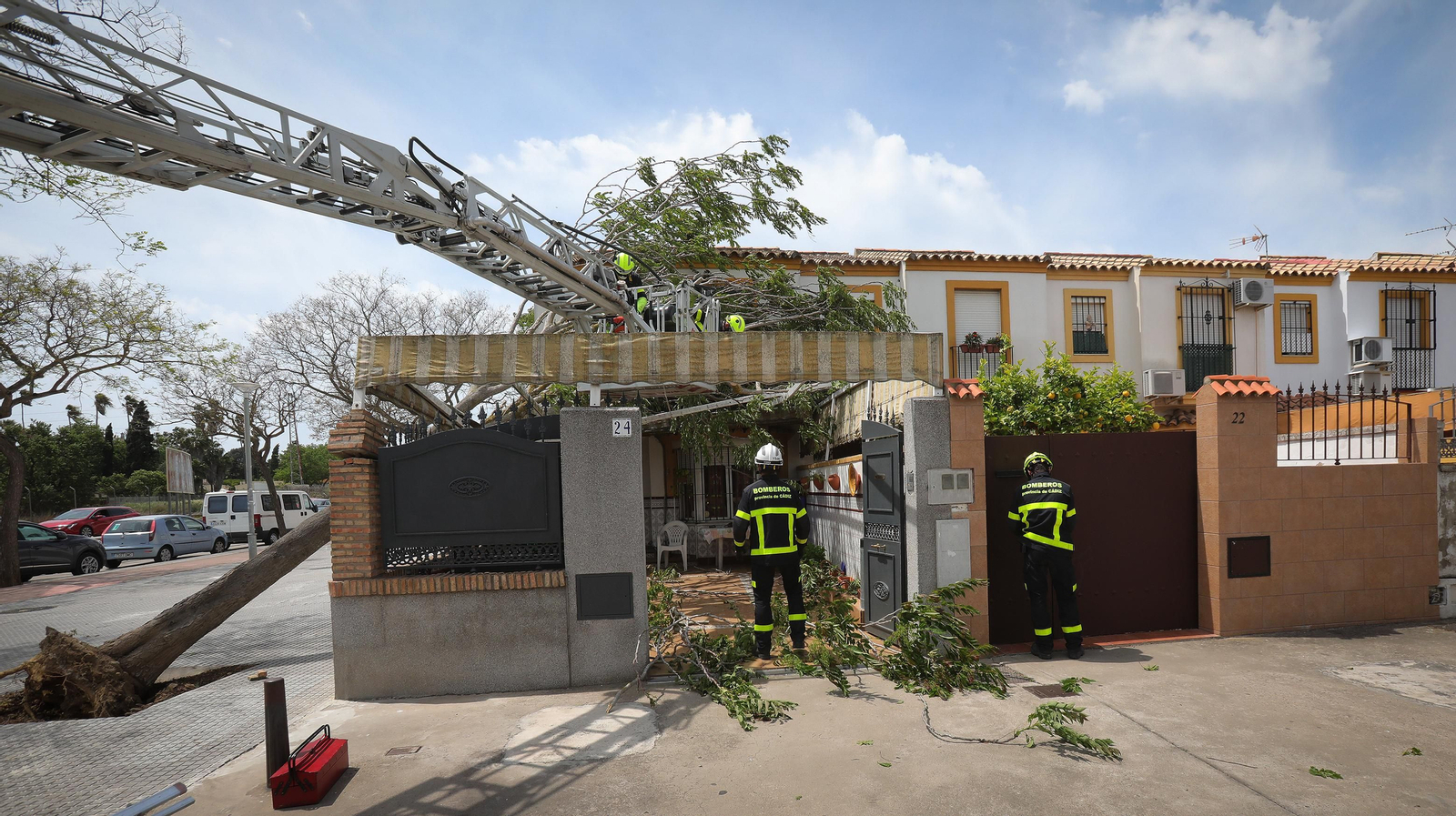 Cae un árbol en una casa por el fuerte temporal de viento que azota Jerez