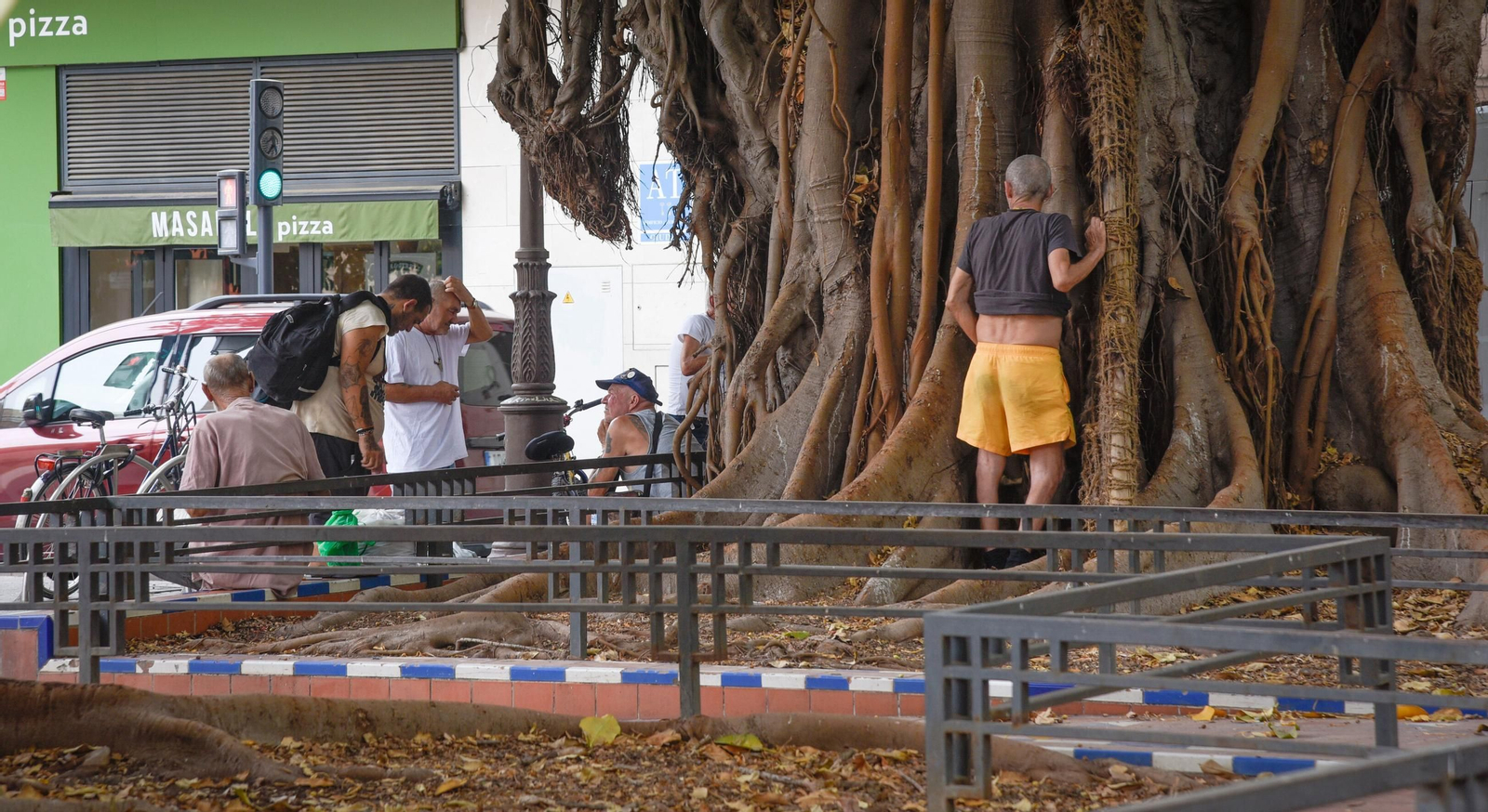 Personas sin hogar haciendo sus necesidades en uno de los ficus de la plaza