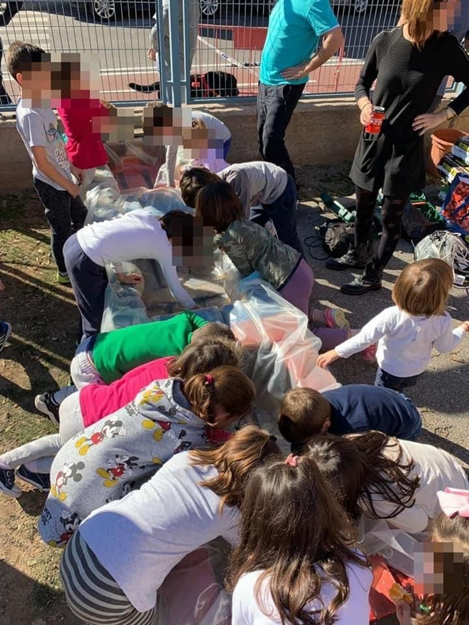 Alumnos del CEIP Rafael Alberti ponen en marcha el huerto en uno de los patios del colegio