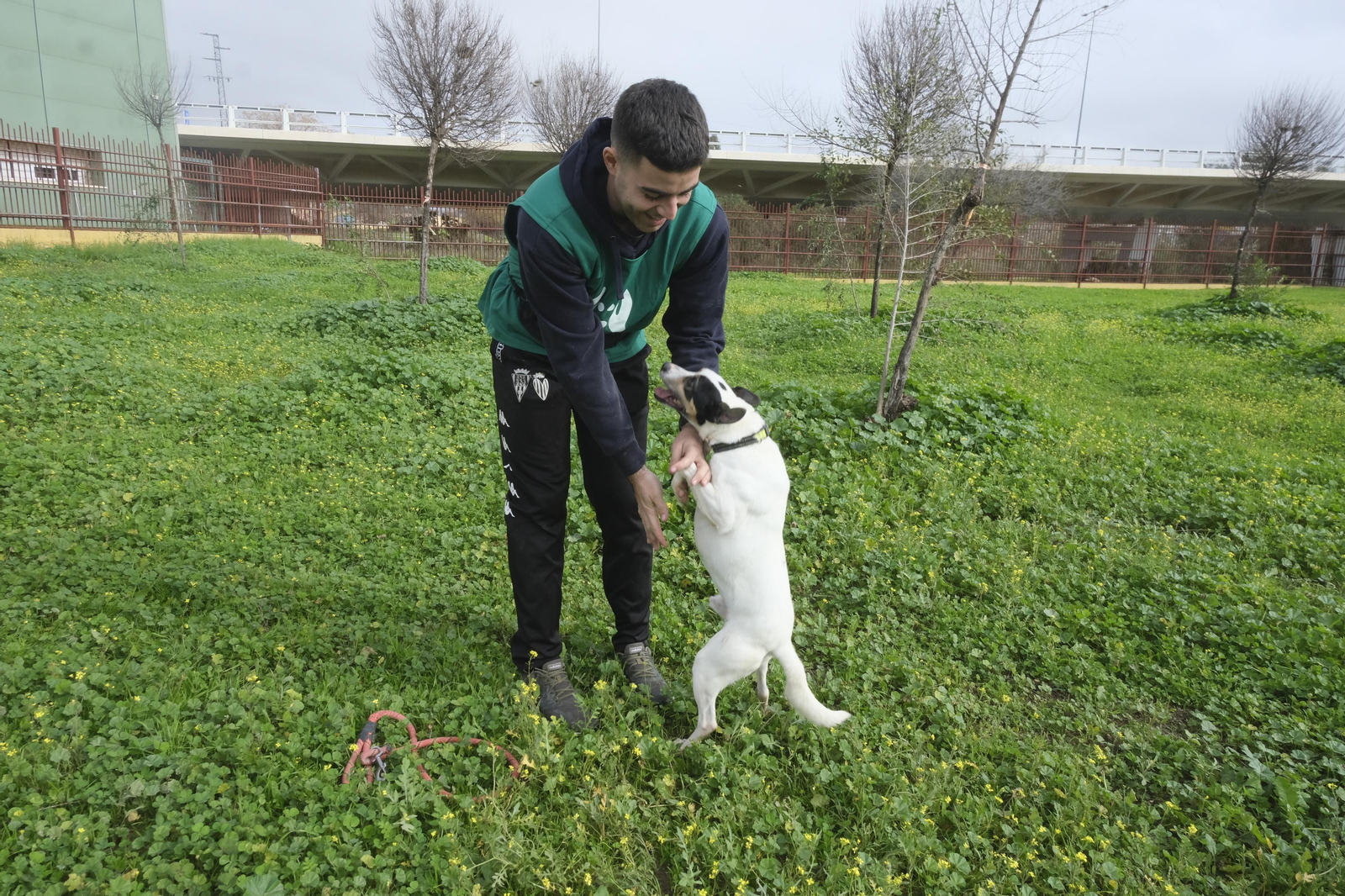 Un paseo por el Centro de Salud y Bienestar Animal de Córdoba, en imágenes