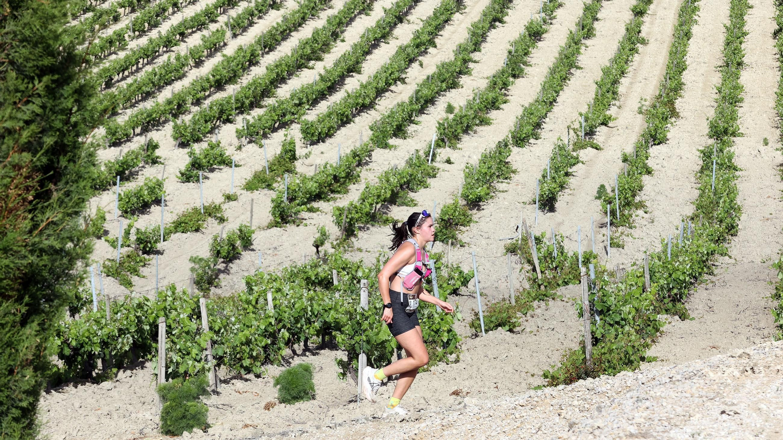 Búscate en la Sherry Maratón 2025 de Jerez (I)