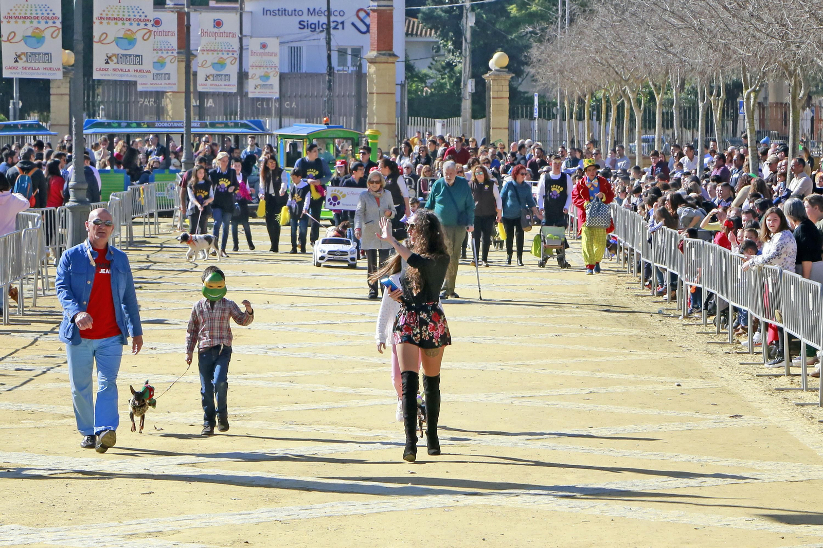 Imágenes de San Antón 2020 en Jerez