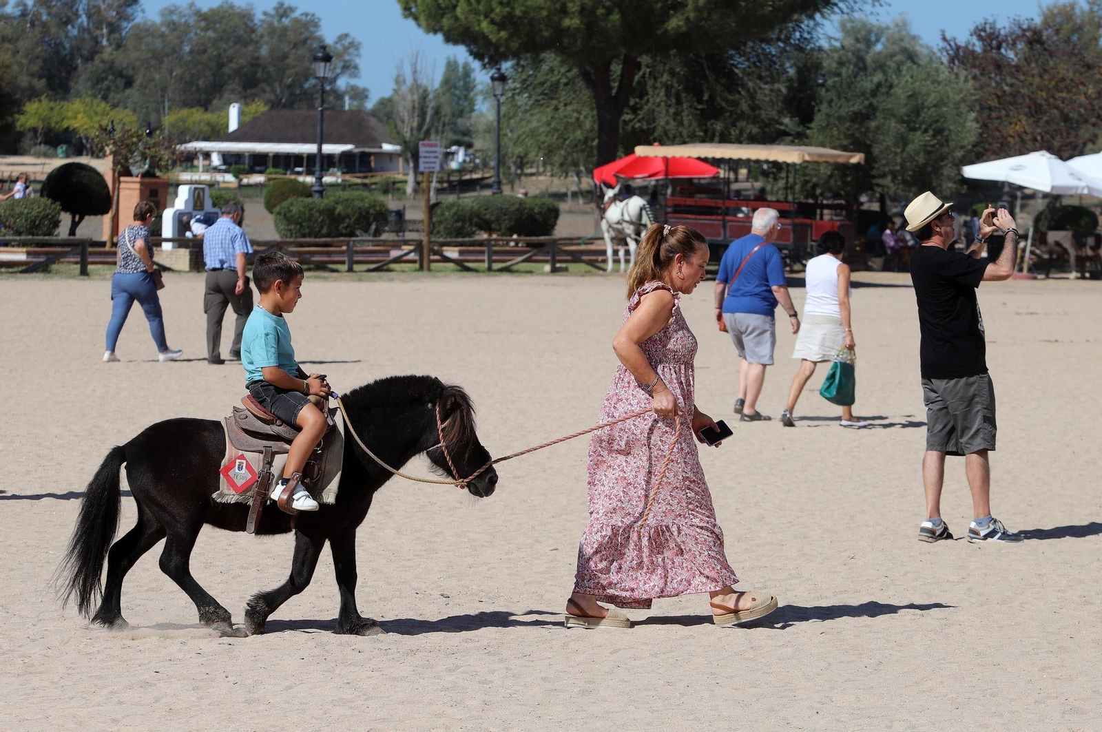 Imágenes del ambiente en la aldea de El Rocío en la mañana del domingo