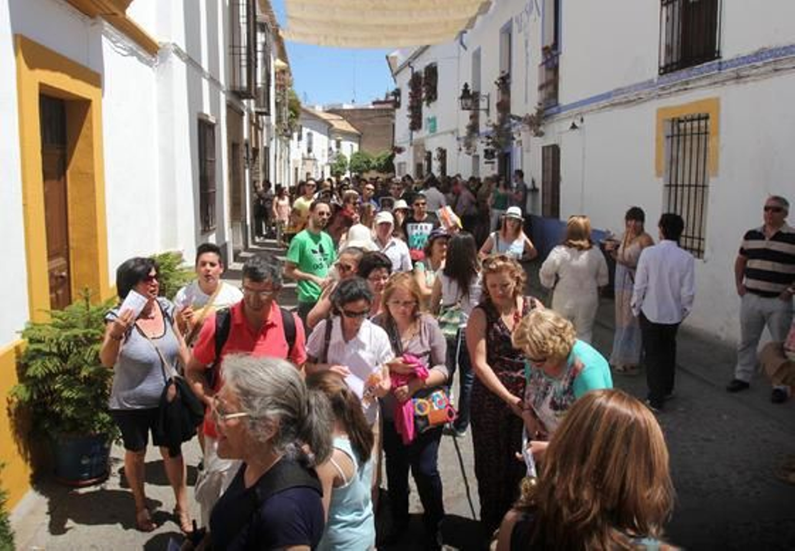 Foto: José Martínez