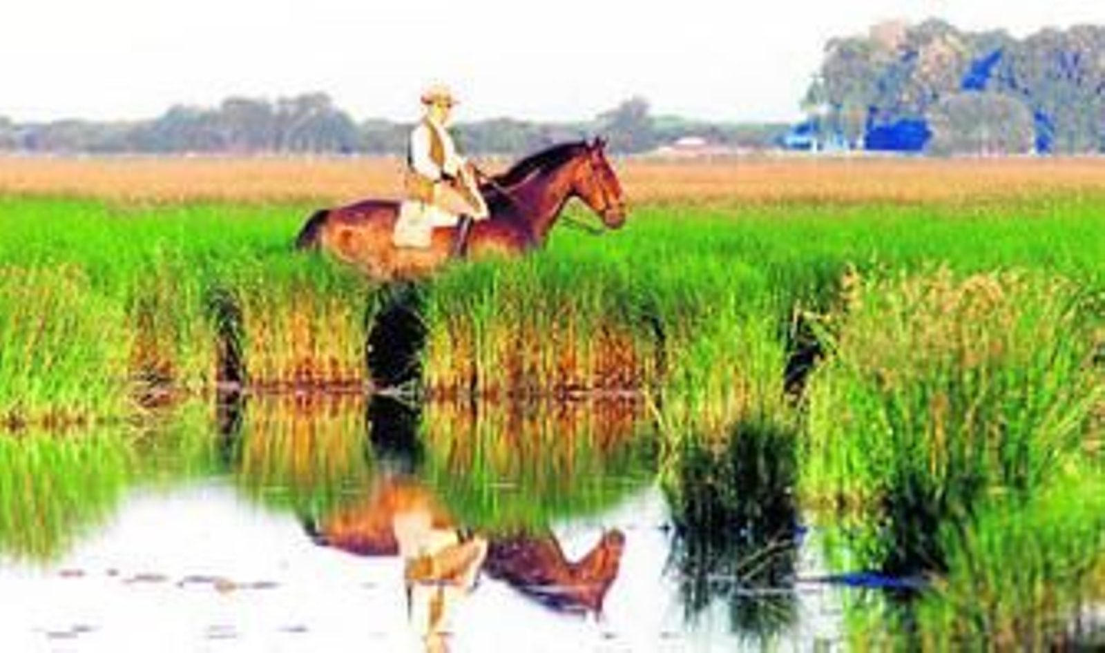 Un guarda del Parque de Doñana, en las marismas de la Rocina.