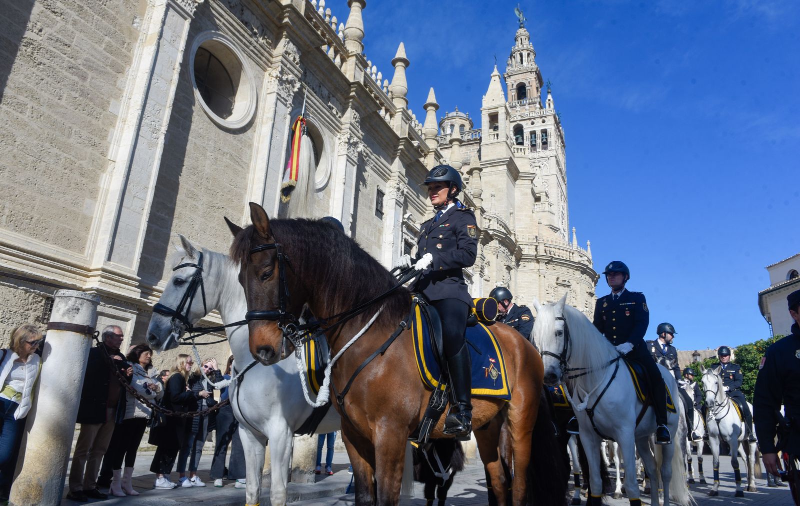 Caballería y guías caninos de la Policía Nacional celebran el patrón de los animales
