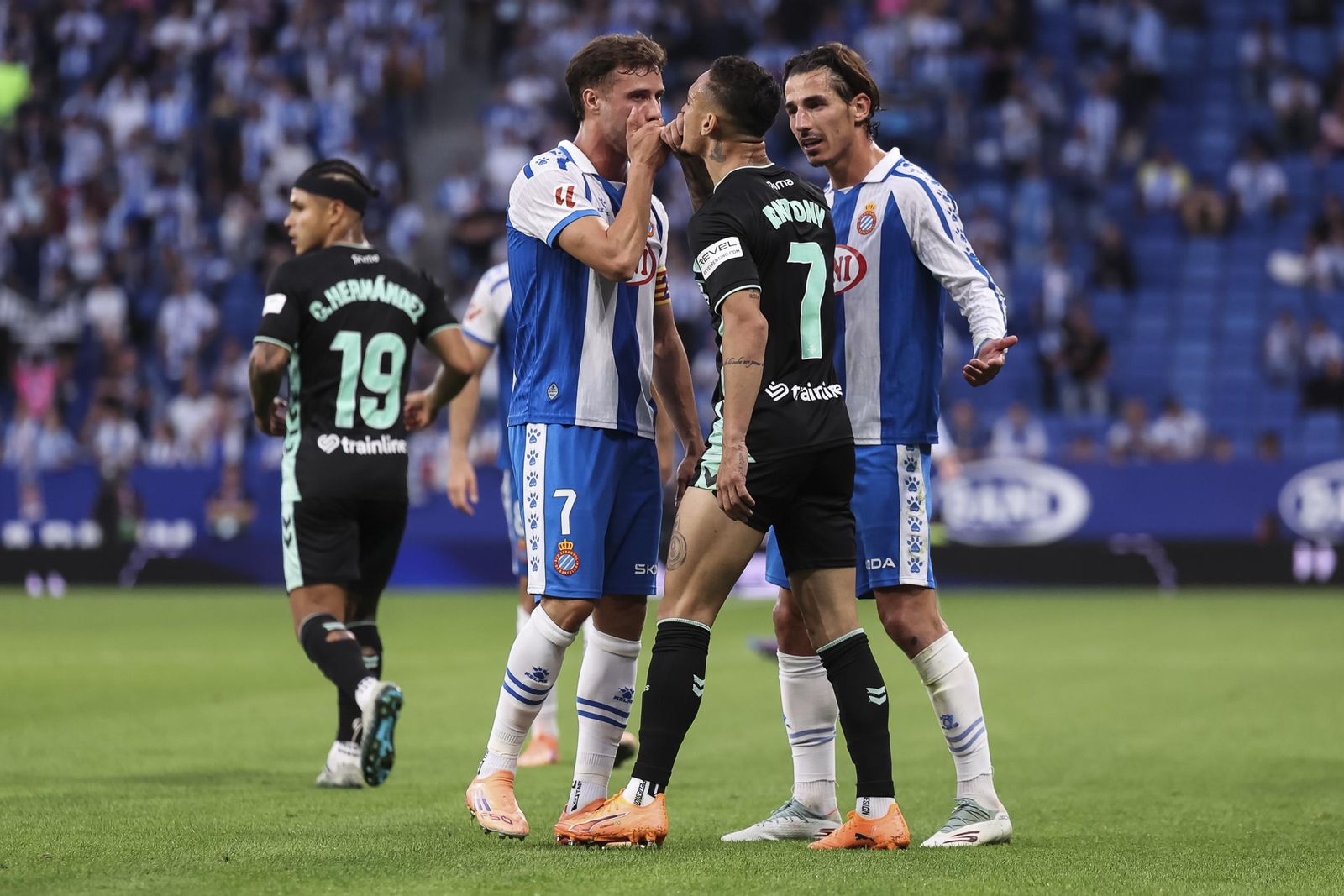 Las mejores fotos del Espanyol-Betis