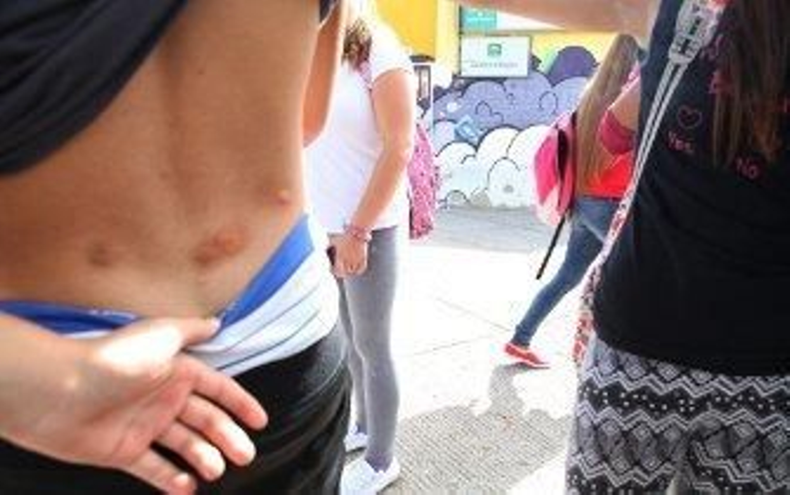 Suspenden las clases en el instituto Asta Regia por una plaga de pulgas