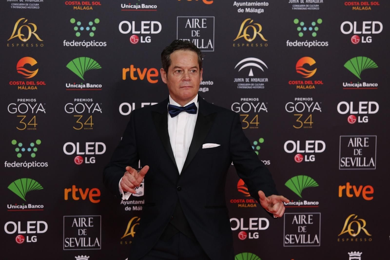La alfombra roja de los Goya 2020 en Málaga