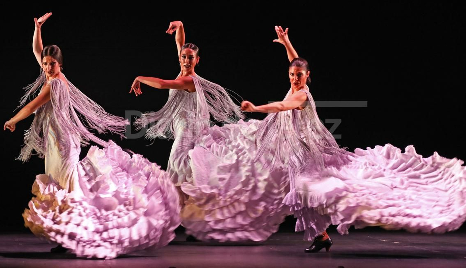 Imágenes del espectáculo 'Naturalmente Flamenco'  del Ballet Flamenco de Andalucía