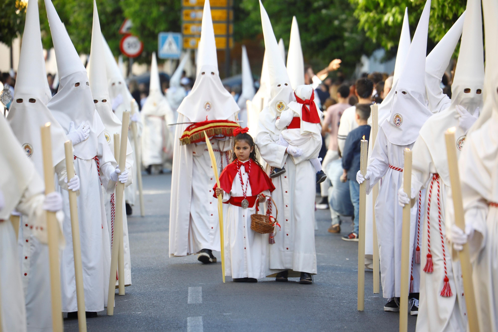 Domingo de Ramos en Córdoba 2023: la procesión de la Borriquita, en imágenes