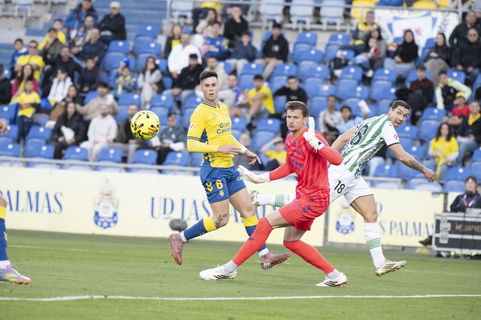 Las mejores fotos del triunfo del Córdoba CF ante Las Palmas