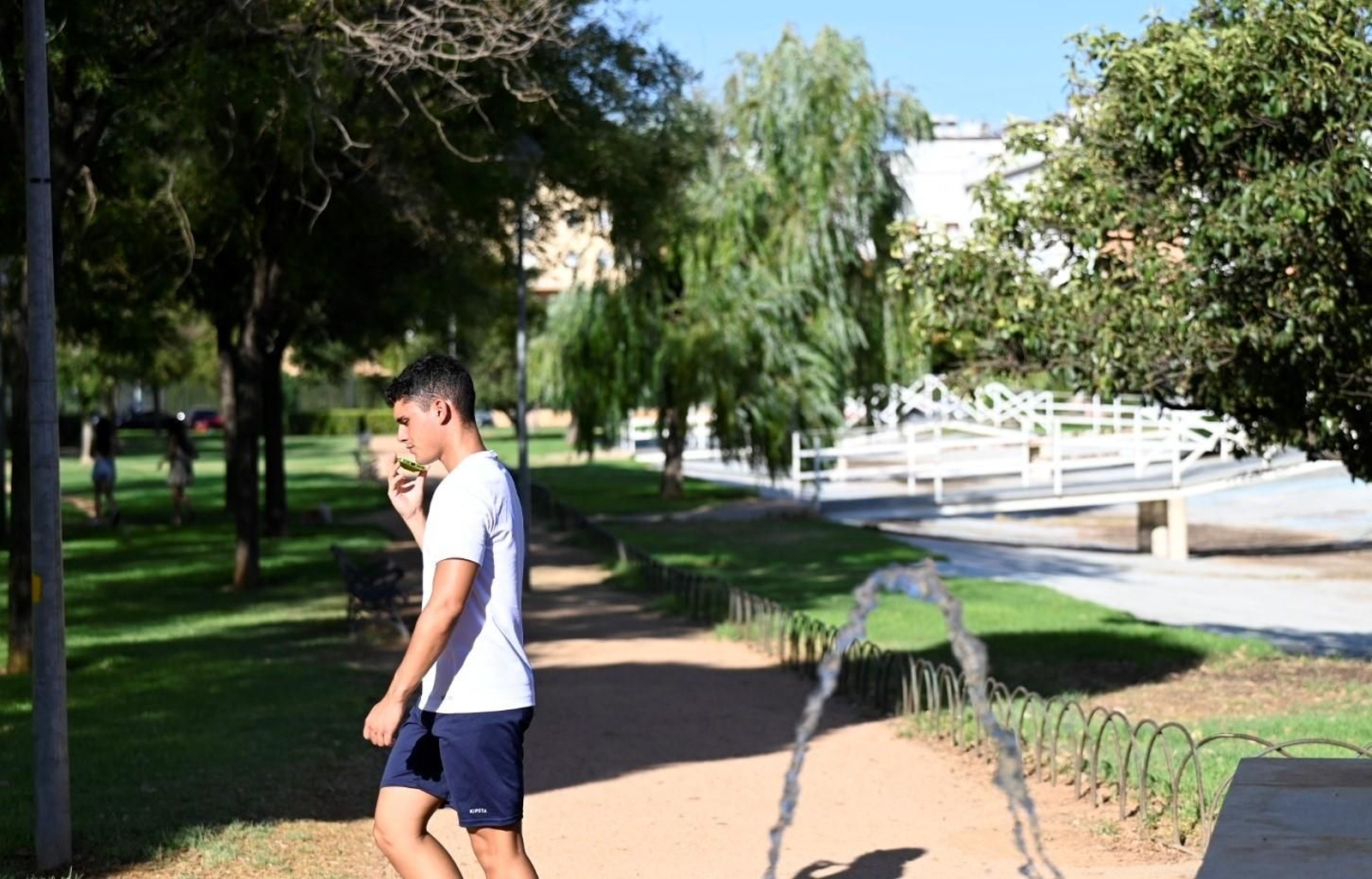 Una tarde de agosto en el barrio del Zoco de Córdoba, en imágenes