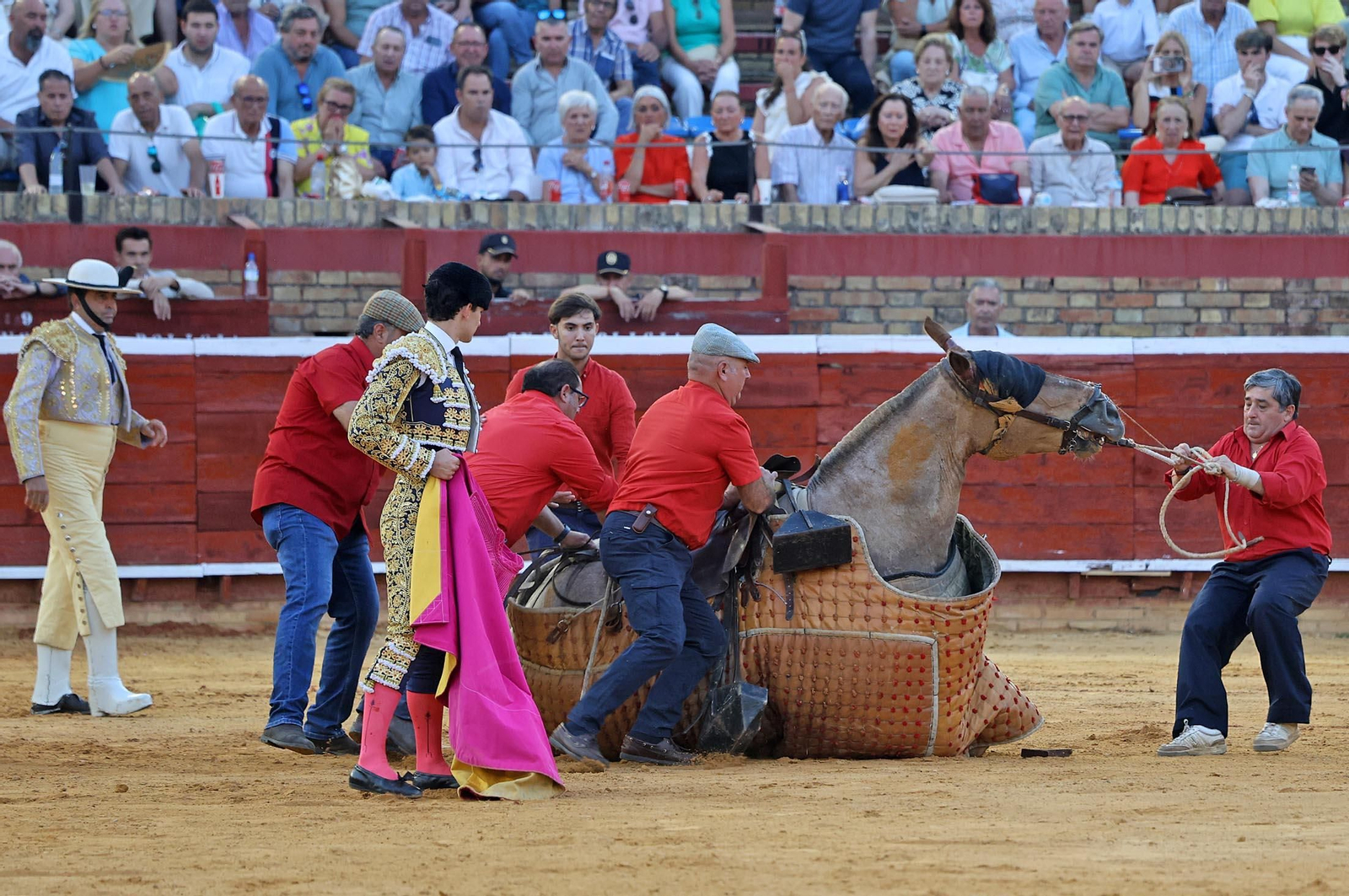 Toros La Merced 2025: Imágenes de la Novillada de Javier Zulueta, Cristian González y Carlos Tirado