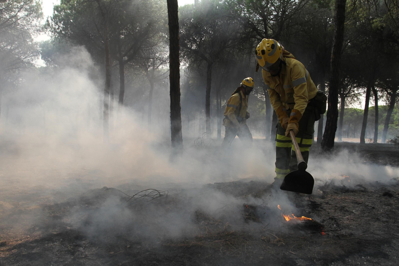 Las imágenes del incendio en Moguer y Mazagón