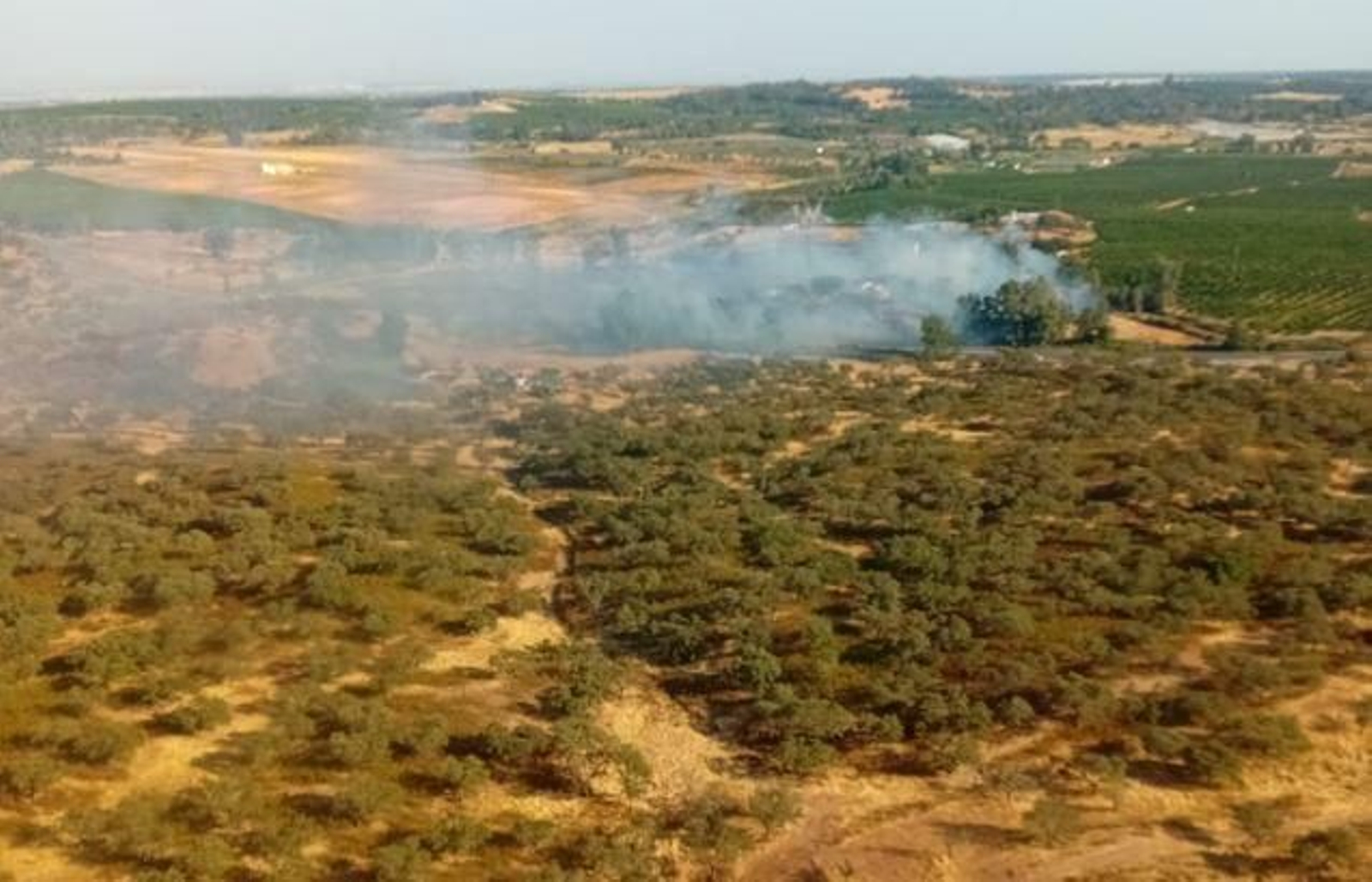 Incendio forestal declarado en un paraje de San Bartolomé de la Torre.