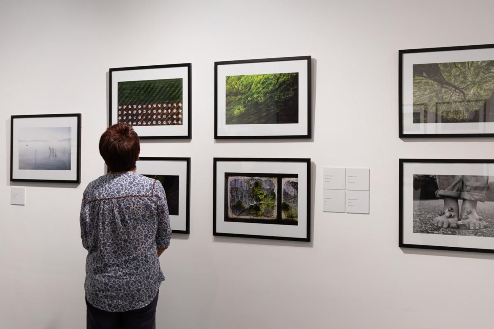 Exposición La Tierra, corazón de la vida, en imágenes