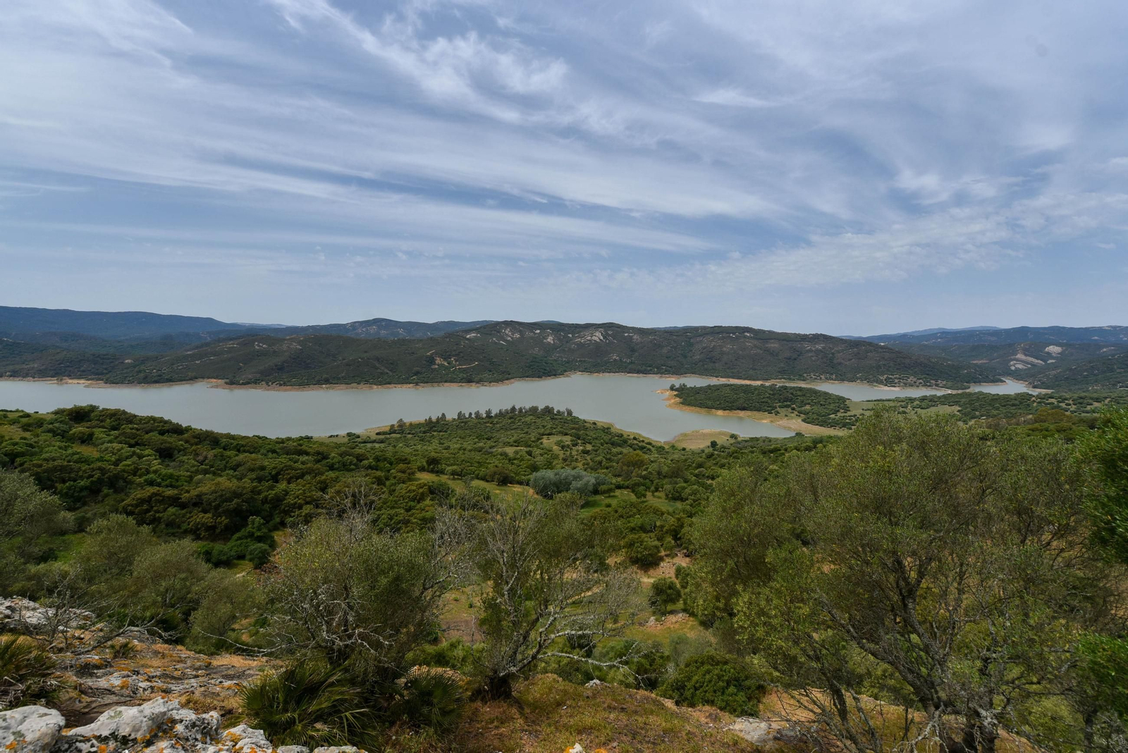Entorno del embalse de Guadarranque en Castellar