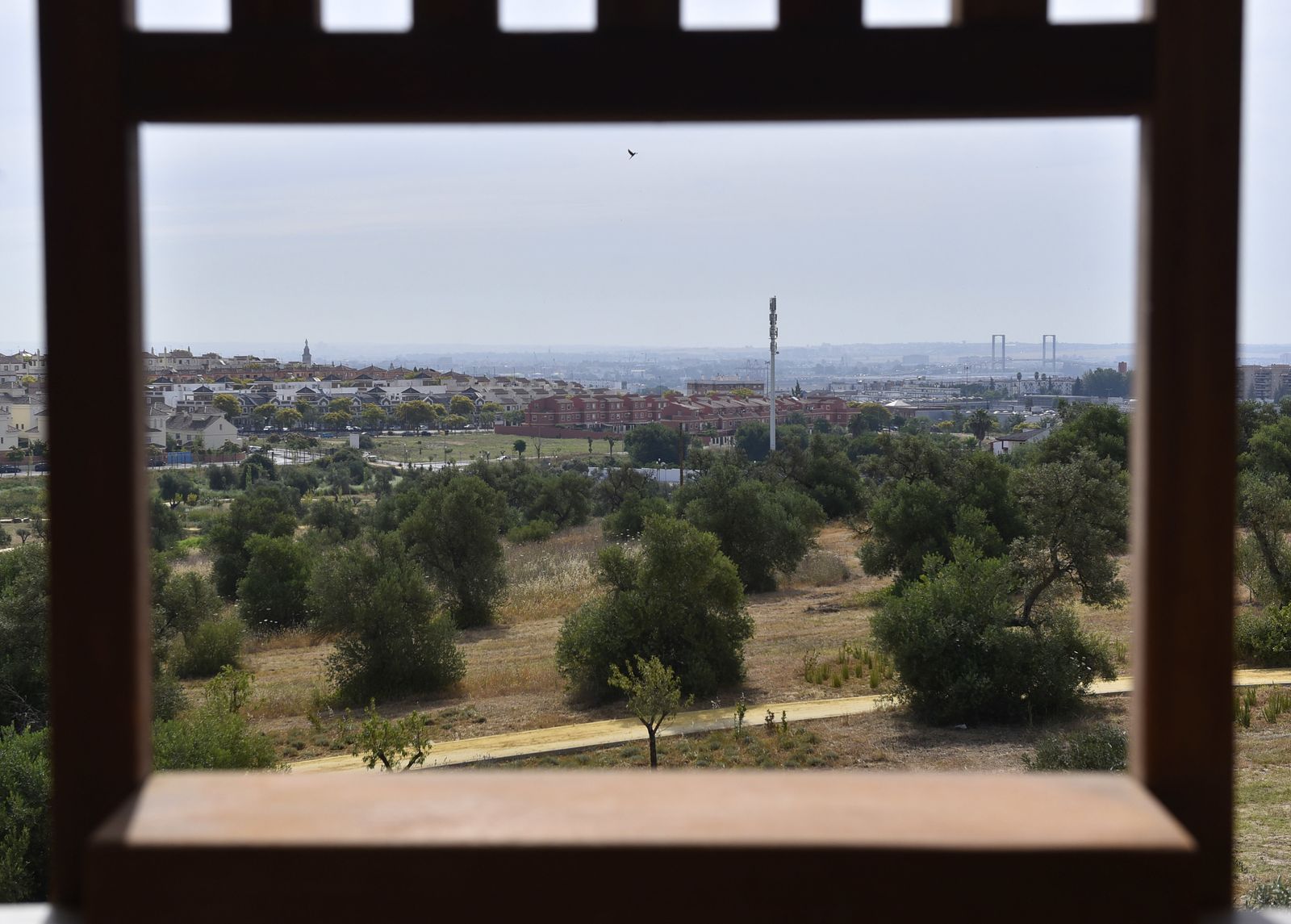 Inauguración del parque Olivar del Zaudín en Tomares, en imágenes
