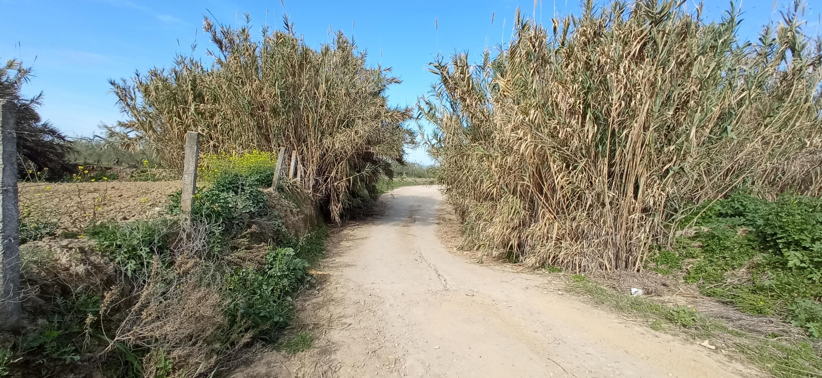 Las imágenes de la ruta de la dehesa de Albaida del Aljarafe
